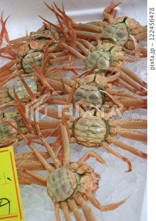 市場で売られるセイコガニ コウバコガニ ズワイガニの雌 市場で売られるセイコガニ コウバコガニ ズワイガニの雌 122456478
