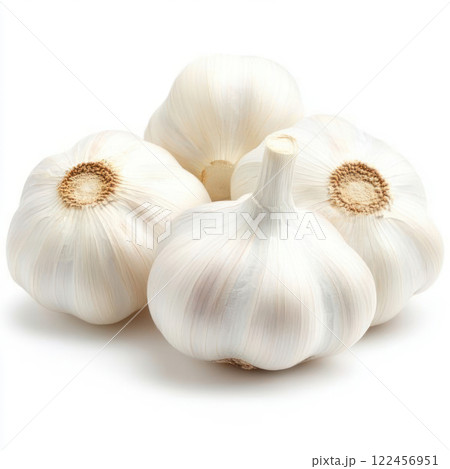 Fresh garlic bulbs arranged on a white background. isolated on white background. Fresh garlic bulbs arranged on a white background. isolated on white background. 122456951