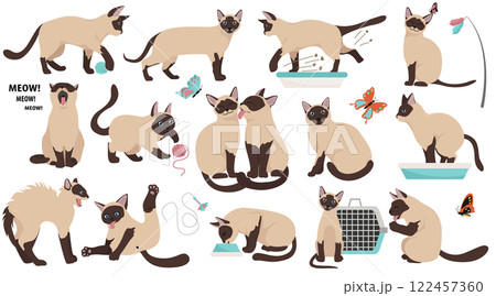 Cartoon cat characters collection. Different cat`s poses, yoga and emotions set. Flat color simple style design 122457360