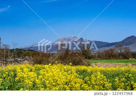 【日本百名山】春の蒜山高原　菜の花畑と大山1　岡山県真庭市 122457368