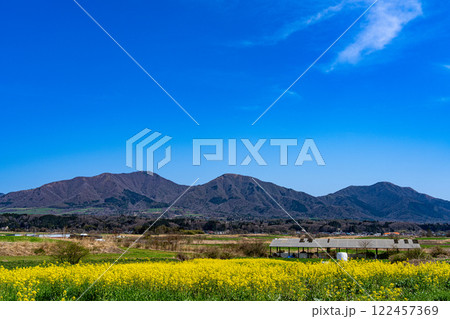 春の蒜山高原 菜の花畑と蒜山三座1 岡山県真庭市 春の蒜山高原 菜の花畑と蒜山三座1 岡山県真庭市 122457369