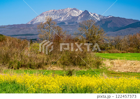 【日本百名山】春の蒜山高原　菜の花畑と大山2　岡山県真庭市 122457373