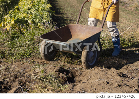 畑で働く女性の風景 122457426