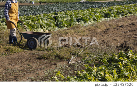 畑で働く女性の風景 122457520