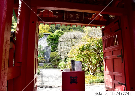 鎌倉市 光則寺山門と境内 鎌倉市 光則寺山門と境内 122457746