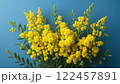 Bouquet of mimosa flowers on blue background, spring background 122457891