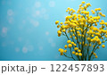 Bouquet of mimosa flowers on blue background, spring background with copy space 122457893