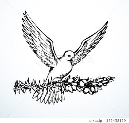 Vector drawing. Dove on the thorn branch 122458129