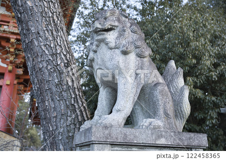 今宮神社 狛犬阿形2 今宮神社 狛犬阿形2 122458365