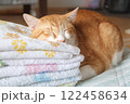 タオルの上に寝る茶トラ猫 122458634