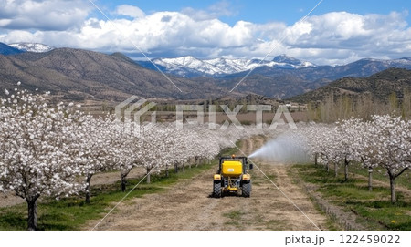 Tractor applies pesticide to blooming trees in an orchard, showcasing vibrant flowers and lush greenery in a spring landscape Tractor applies pesticide to blooming trees in an orchard, showcasing vibrant flowers and lush greenery in a spring landscape 122459022