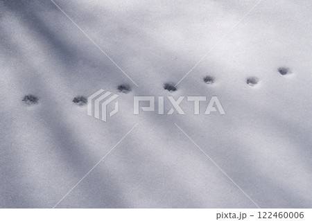 白銀の雪原に残る足跡、静寂に包まれた冬の物語 122460006