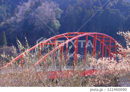 月ケ瀬梅林(奈良県奈良市)月ケ瀬橋付近の梅林 月ケ瀬梅林(奈良県奈良市)月ケ瀬橋付近の梅林 122460090