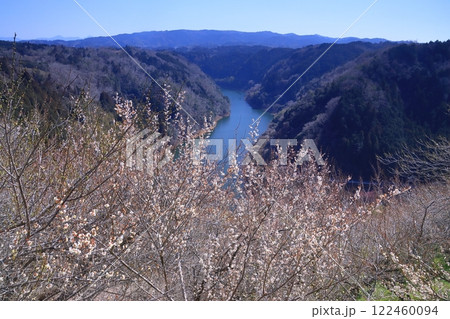 月ケ瀬梅林（奈良県奈良市）一目八景からの眺め 122460094
