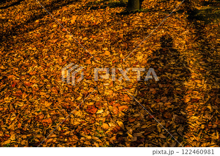 ,影,シルエット 122460981