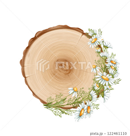 Wooden signboard with daisy flowers. Signs with place for messages. 122461110