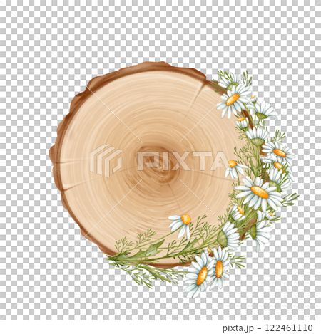 Wooden signboard with daisy flowers. Signs with place for messages. 122461110