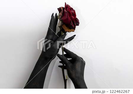 The black hands with long nails hold a rose and make it dry. Concept photo with woman hands painted in black paint with hold a red flower. Demon power in hands make rose die The black hands with long nails hold a rose and make it dry. Concept photo with woman hands painted in black paint with hold a red flower. Demon power in hands make rose die 122462267
