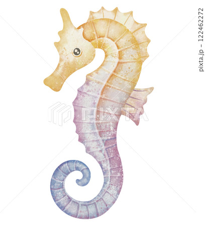 Watercolor illustration of colorful Seahorse in yellow and pink pastel colors for childish greeting cards or baby shower invitations. Drawing of underwater marine fish for nursery wall art. 122462272
