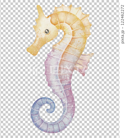 Watercolor illustration of colorful Seahorse in yellow and pink pastel colors for childish greeting cards or baby shower invitations. Drawing of underwater marine fish for nursery wall art. 122462272