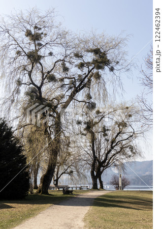 Panorama of lake Tegernsee, Bavaria, Germany 122462394