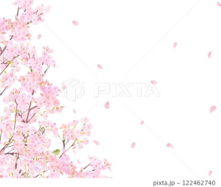 ウグイスのいる桜の木ー美しい薄いピンク色の桜の花と花びら春の水彩白バックフレーム背景素材イラスト 122462740