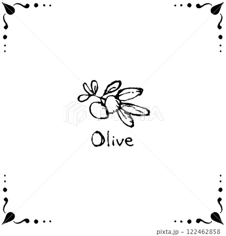 オリーブの線画のフレームのイラスト 122462858