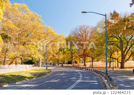 Central Park in New York City on a sunny autumn 122464215