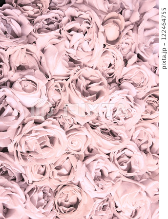 Natural background of rose petals Natural background of rose petals 122464755