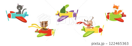 Cute Animal Fly Plane and Aircraft Vector Set 122465363