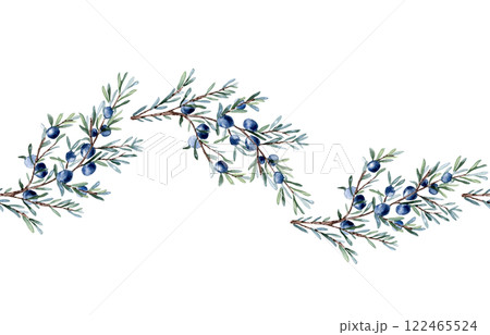 Juniper branch and berries watercolor seamless border isolated on white. Greenery coniferous in soft colors hand drawn. Delicate evergreen plant twig repeated pattern for label gin, foliage design. 122465524
