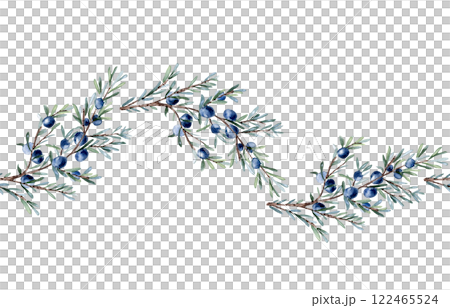 Juniper branch and berries watercolor seamless border isolated on white. Greenery coniferous in soft colors hand drawn. Delicate evergreen plant twig repeated pattern for label gin, foliage design. 122465524