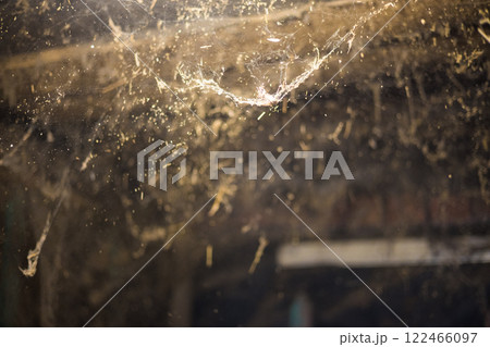 Web in the barn. Sunbeams illuminating floating dust particles and cobwebs hanging in a dark, abandoned barn interior, creating an eerie and haunting atmosphere filled with neglect and decay. 122466097