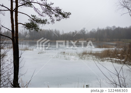 A thin layer of ice covers a lake in winter with pine trees in the foreground and forest in the background, creating a serene and cold natural landscape. Frozen pond with steep bank and pine trees. A thin layer of ice covers a lake in winter with pine trees in the foreground and forest in the background, creating a serene and cold natural landscape. Frozen pond with steep bank and pine trees. 122466303