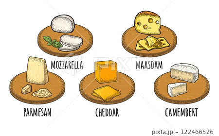 Cheese maasdam, mozzarella, cheddar, parmesan, camembert on wood board. Vector engraving 122466526