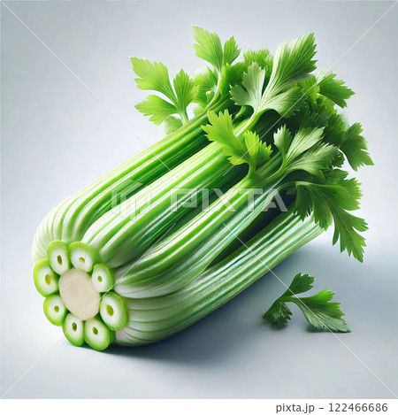 Fresh green celery stalks with vibrant leaves isolated on a light background healthy eating concept. Fresh green celery stalks with vibrant leaves isolated on a light background healthy eating concept. 122466686