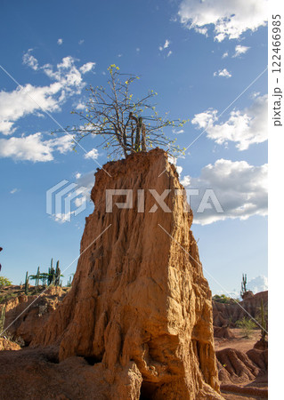 Tatacoa Desert, arid lands of the tropical dry forest in Colombia 122466985