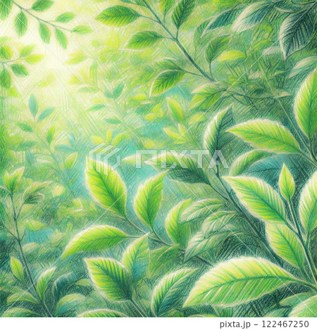 光に包まれた新緑の葉 | 自然の息吹を感じる幻想的なイラスト 122467250