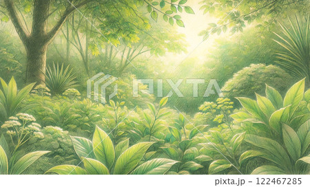 光あふれる緑の森 | 癒しの自然風景イラスト 122467285