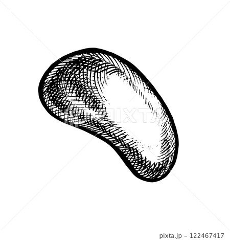 The sea stone. A hand-drawn vector graphic illustration. Black and white image of the beach element. Separate from the background. Perfect for packaging, labels, postcards, invitations and more. 122467417