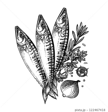 Mackerel with herbs and vegetables. Hand-drawn vector illustration. Black and white image of seafood. On a white background. For menus, recipe books, packages, labels, invitations. Mackerel with herbs and vegetables. Hand-drawn vector illustration. Black and white image of seafood. On a white background. For menus, recipe books, packages, labels, invitations. 122467418