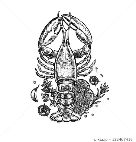 Lobster with lemon, herbs and vegetables. A hand-drawn vector graphic illustration. Black and white image of seafood. Separate from the background. Suitable for menus, recipe books, packages, labels. Lobster with lemon, herbs and vegetables. A hand-drawn vector graphic illustration. Black and white image of seafood. Separate from the background. Suitable for menus, recipe books, packages, labels. 122467419