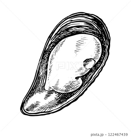 Fresh mussels. A hand-drawn vector graphic illustration. Black and white image of seafood. Separate from the background. Perfect for menus, recipe books, packages, labels, invitations, and more. Fresh mussels. A hand-drawn vector graphic illustration. Black and white image of seafood. Separate from the background. Perfect for menus, recipe books, packages, labels, invitations, and more. 122467439