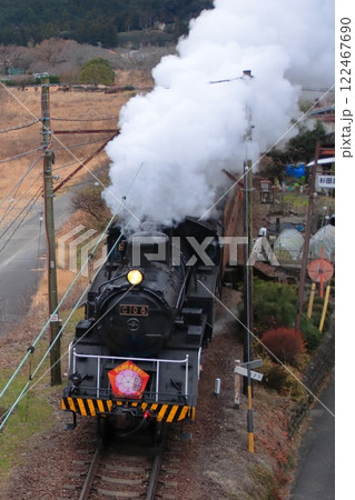 特別装飾を纏ってのんびりと走る大井川鉄道C10形蒸気機関車(旧ラサ工業仕様)_2025/1/12撮影 122467690
