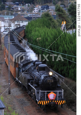 特別装飾を纏ってのんびりと走る大井川鉄道C10形蒸気機関車(旧ラサ工業仕様)_2025/1/12撮 122467798