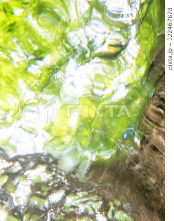 水中から眺める新緑・清流・エコイメージ（大山木谷沢渓流） 122467878