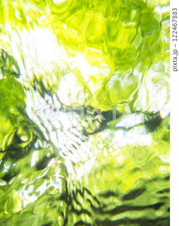 水中から眺める新緑・清流・エコイメージ（大山木谷沢渓流） 122467883