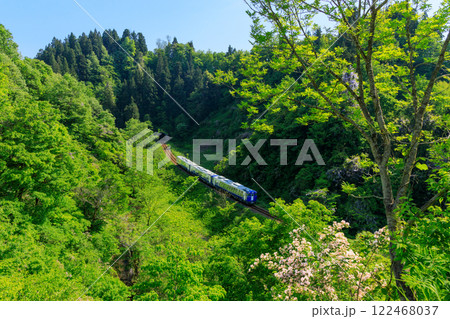 快晴の青空と新緑に包まれた岩沢をのんびり走る飯山線の観光列車 快晴の青空と新緑に包まれた岩沢をのんびり走る飯山線の観光列車 122468037