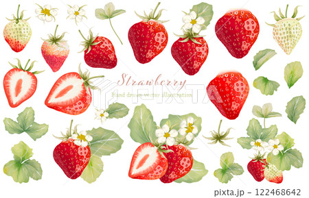 水彩で描いた苺の素材セット 122468642