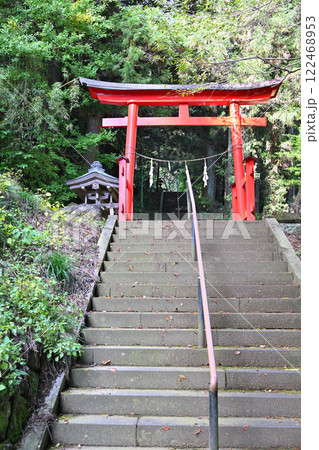 山中にひっそりと鎮座する子持神社　鳥居　渋川市　 122468953